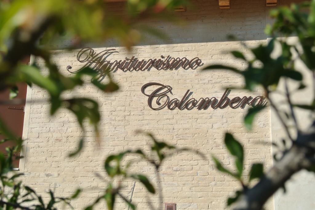 Photo of Outdoor in Pedeguarda di Follina