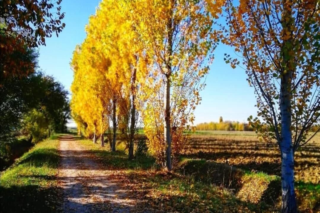 Photo of Outdoor in Pedeguarda di Follina