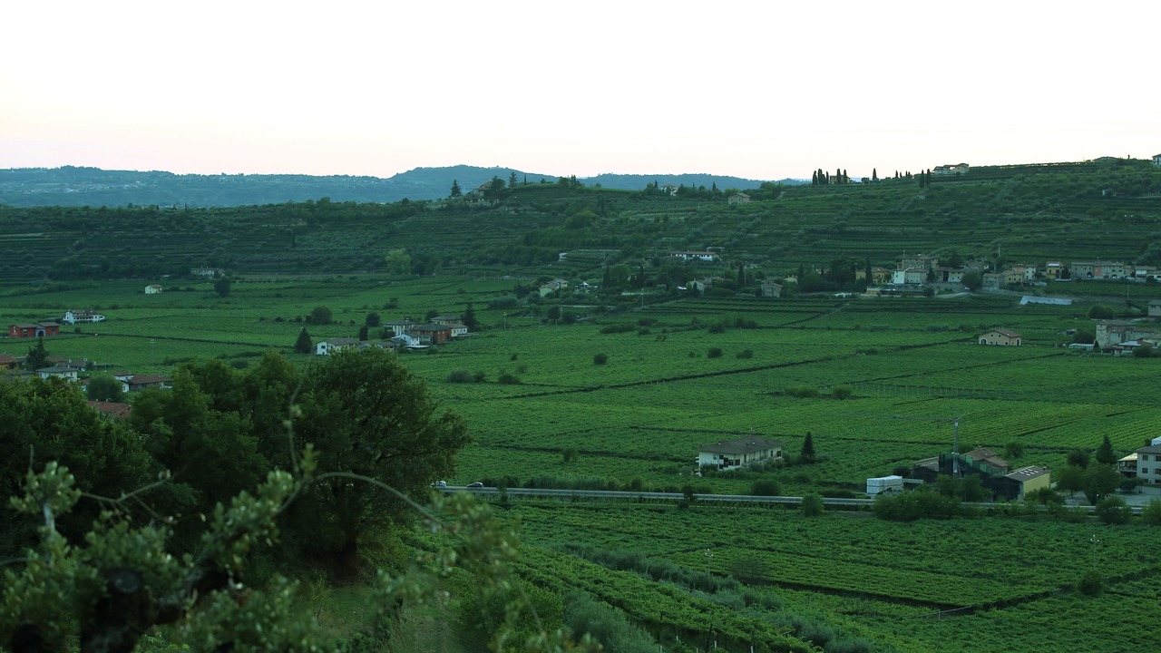 Photo of Others in Negrar