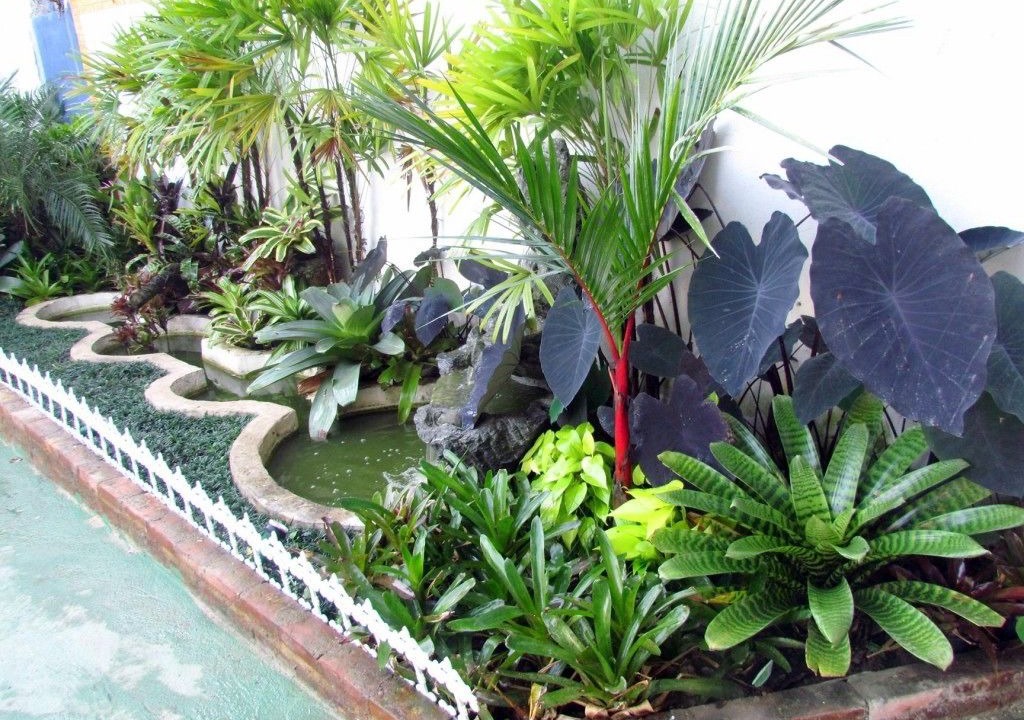 Photo of Outdoor in Camorim