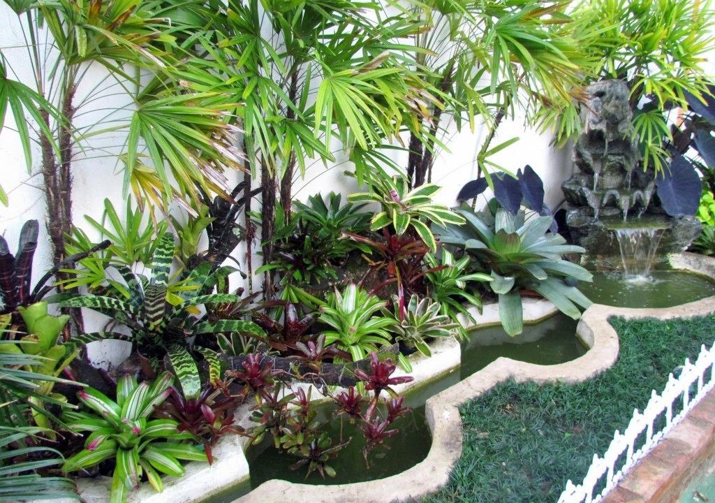 Photo of Outdoor in Camorim