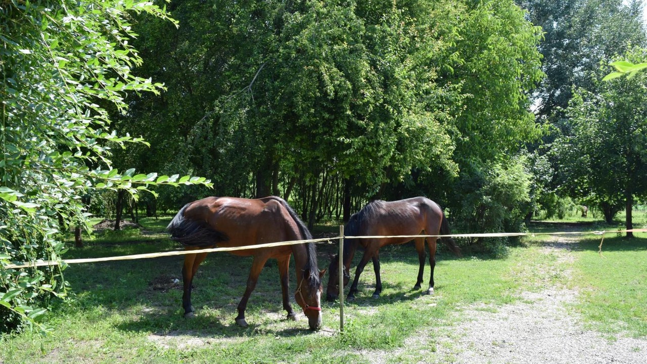 Photo of Outdoor in Legnago