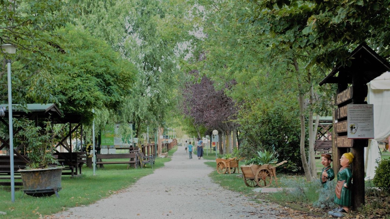 Photo of Outdoor in Legnago