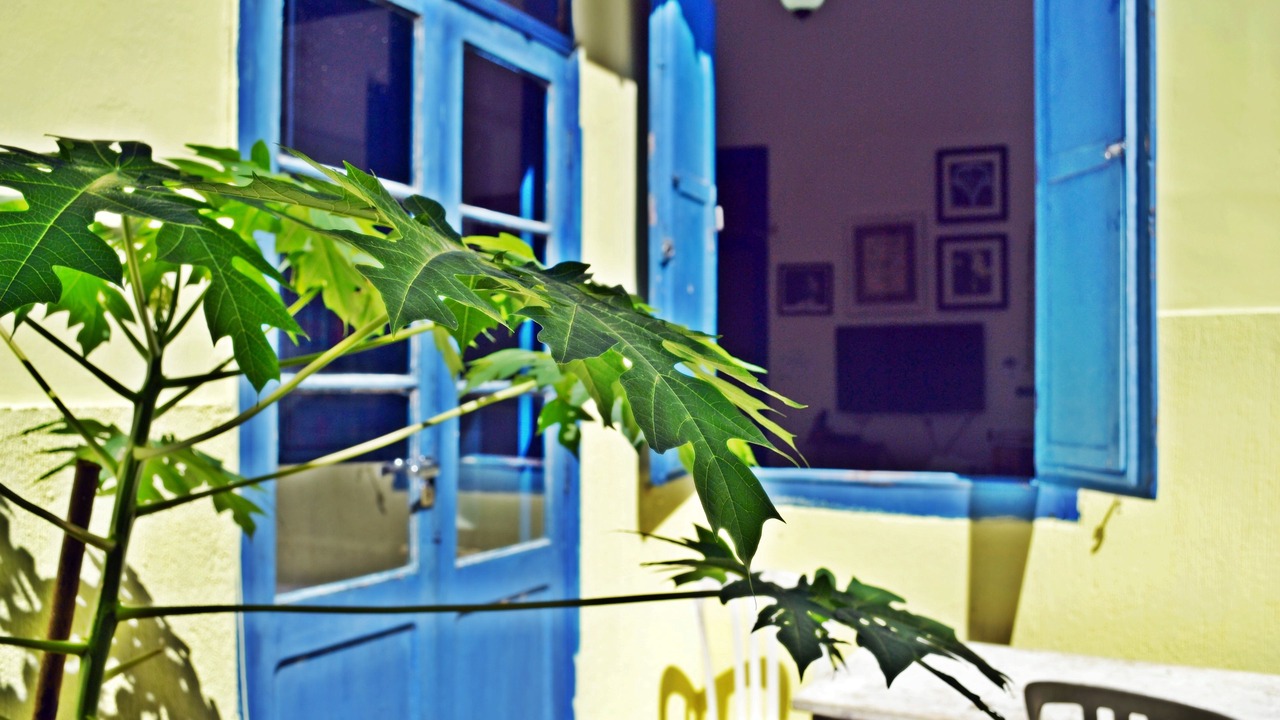 Photo of Outdoor in Boa Viagem