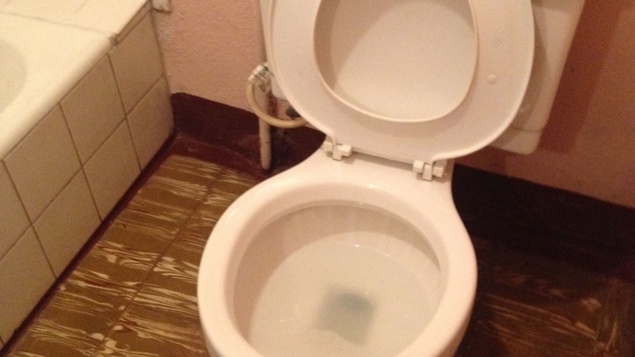 Photo of Bathroom in Rollington Town