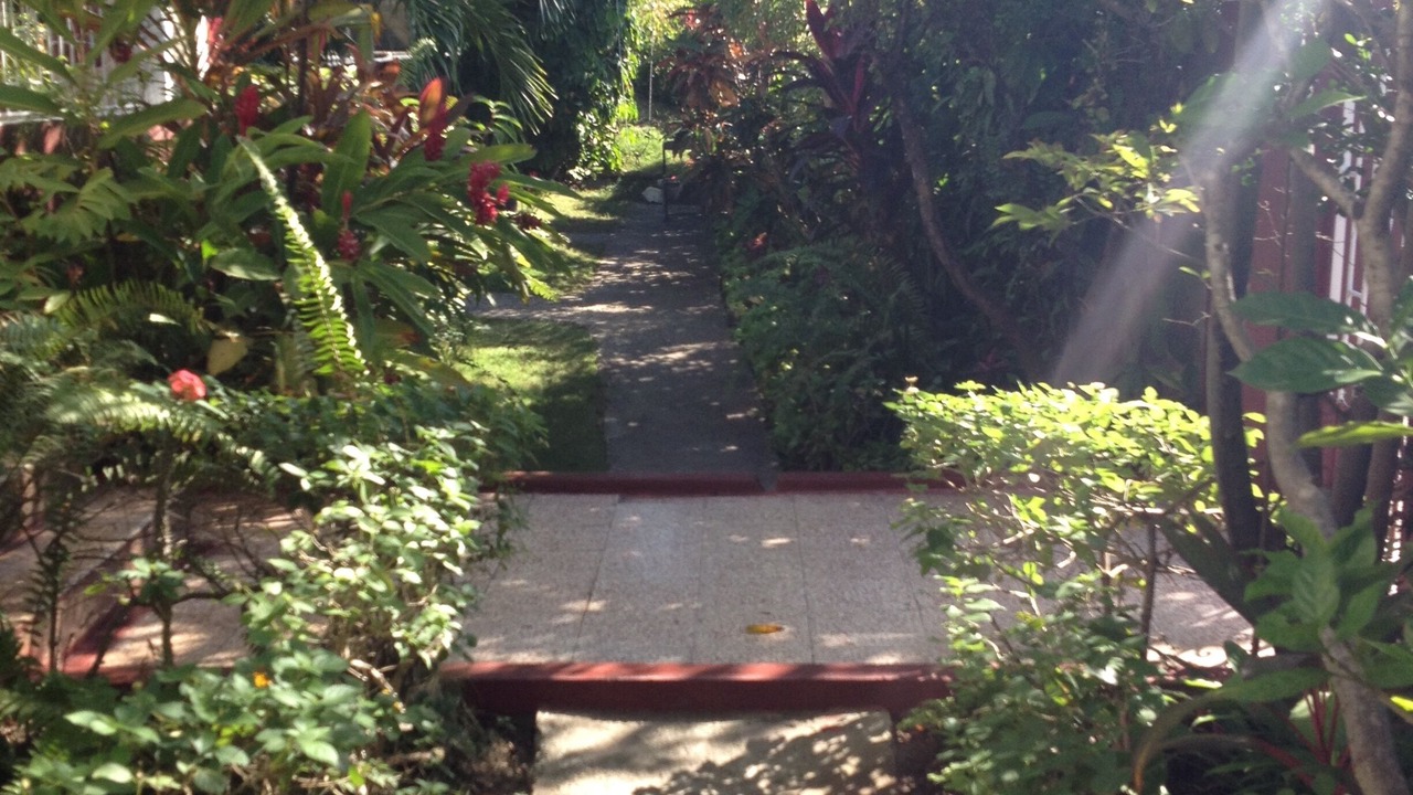 Photo of Outdoor in Rollington Town