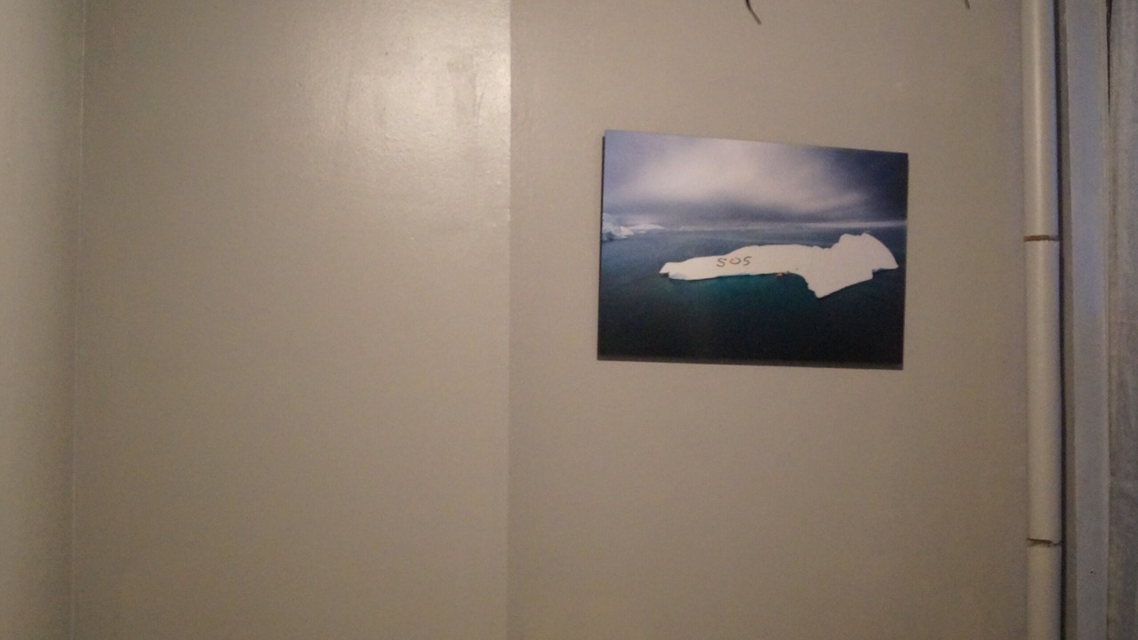 Photo of Outdoor in East Harlem