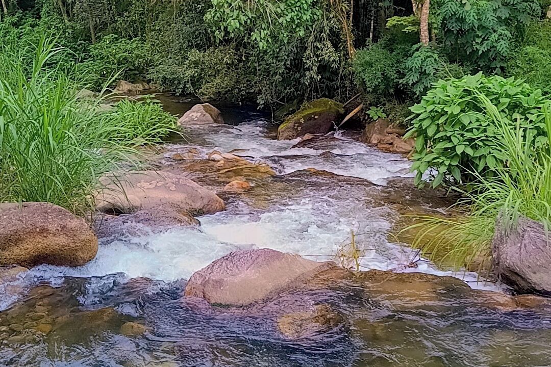 Photo of Outdoor in Resende