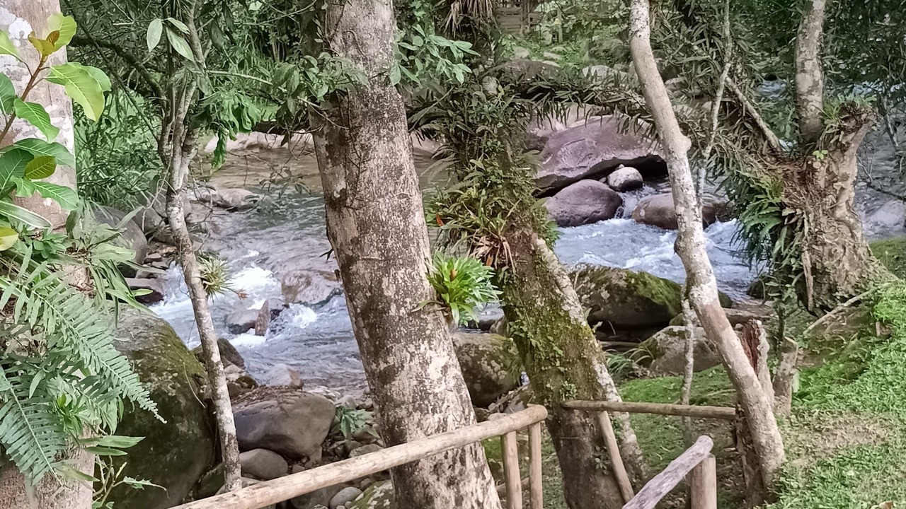 Photo of Outdoor in Resende