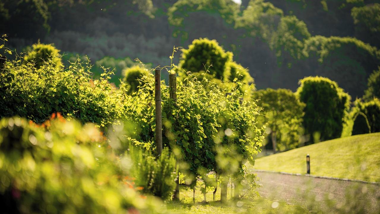 Photo of Outdoor in Montebelluna