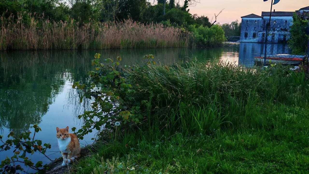 Photo of Outdoor in Quinto di Treviso