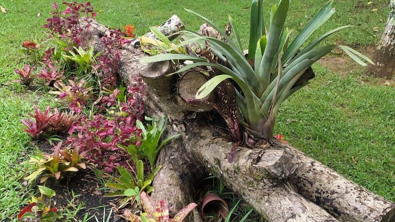 Photo of Outdoor in Valenca
