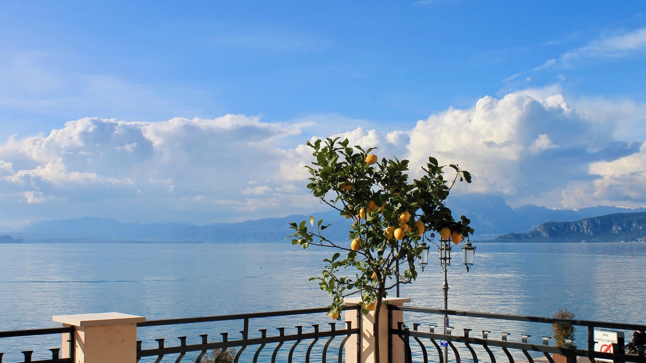Photo of Outdoor in Lazise Old Town
