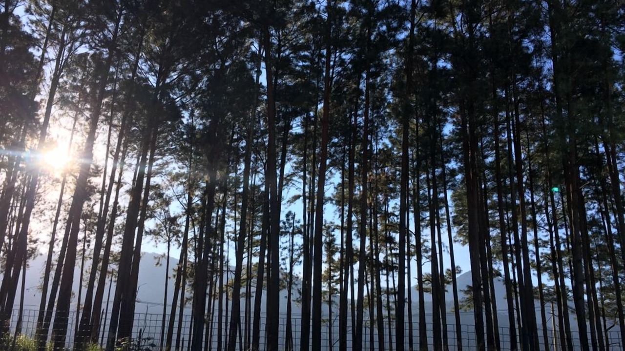 Photo of Outdoor in Sahy