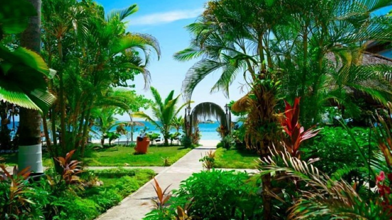 Photo of Outdoor in Orange Bay