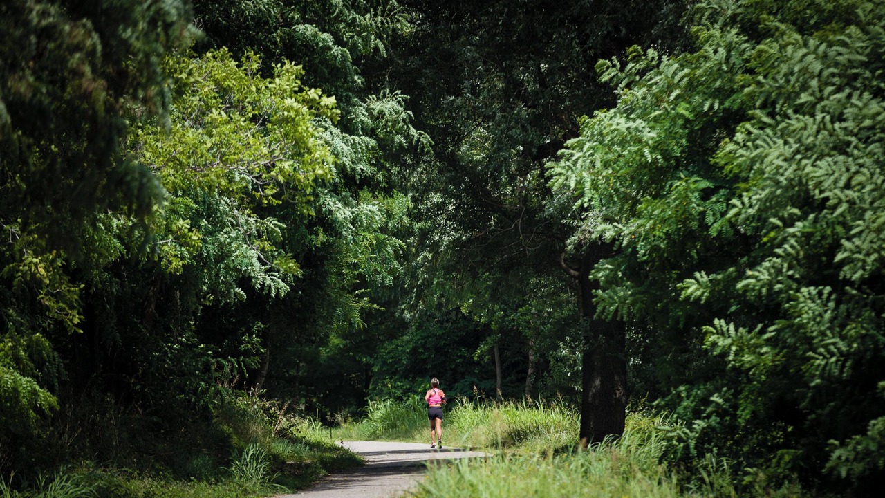 Photo of Outdoor in Oliero