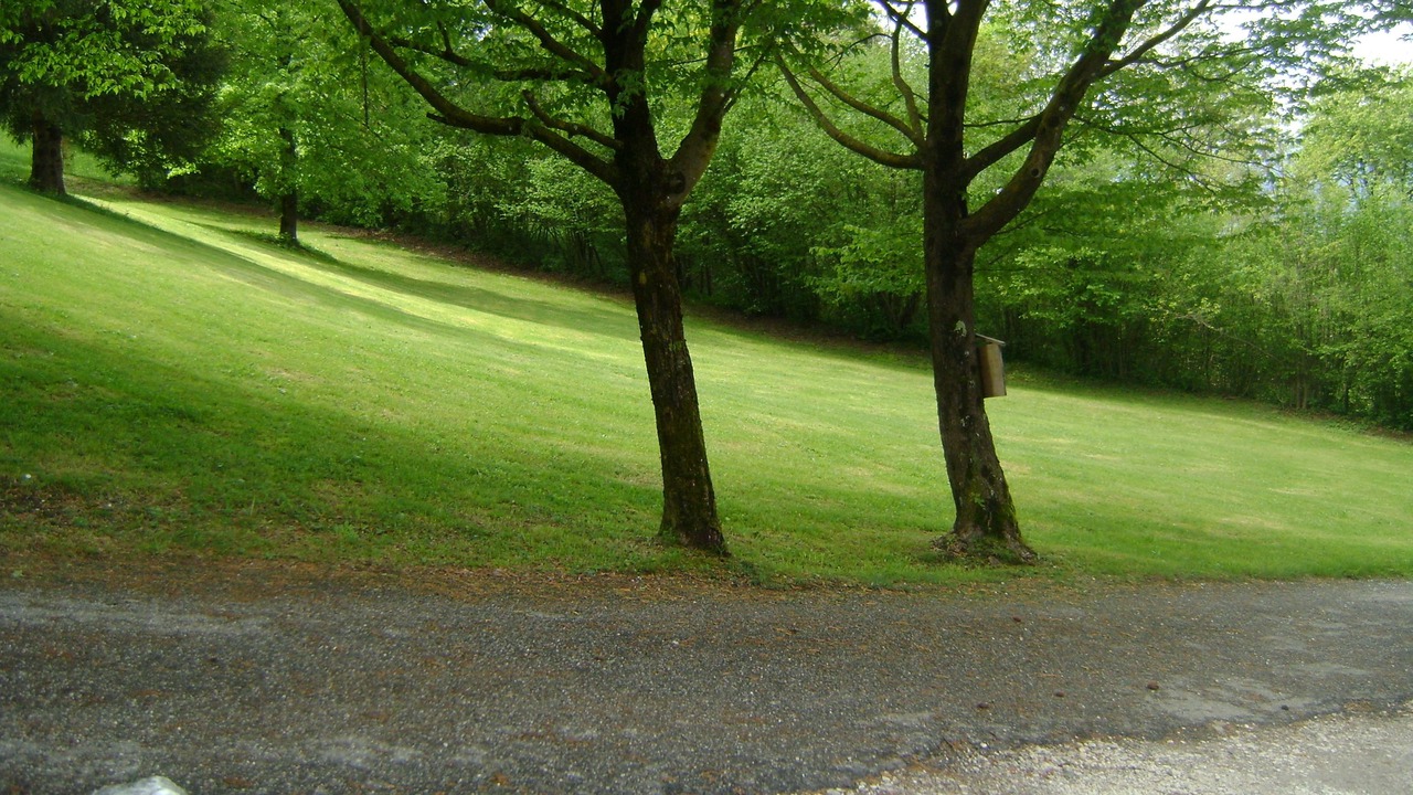 Photo of Outdoor in Ponte nelle Alpi