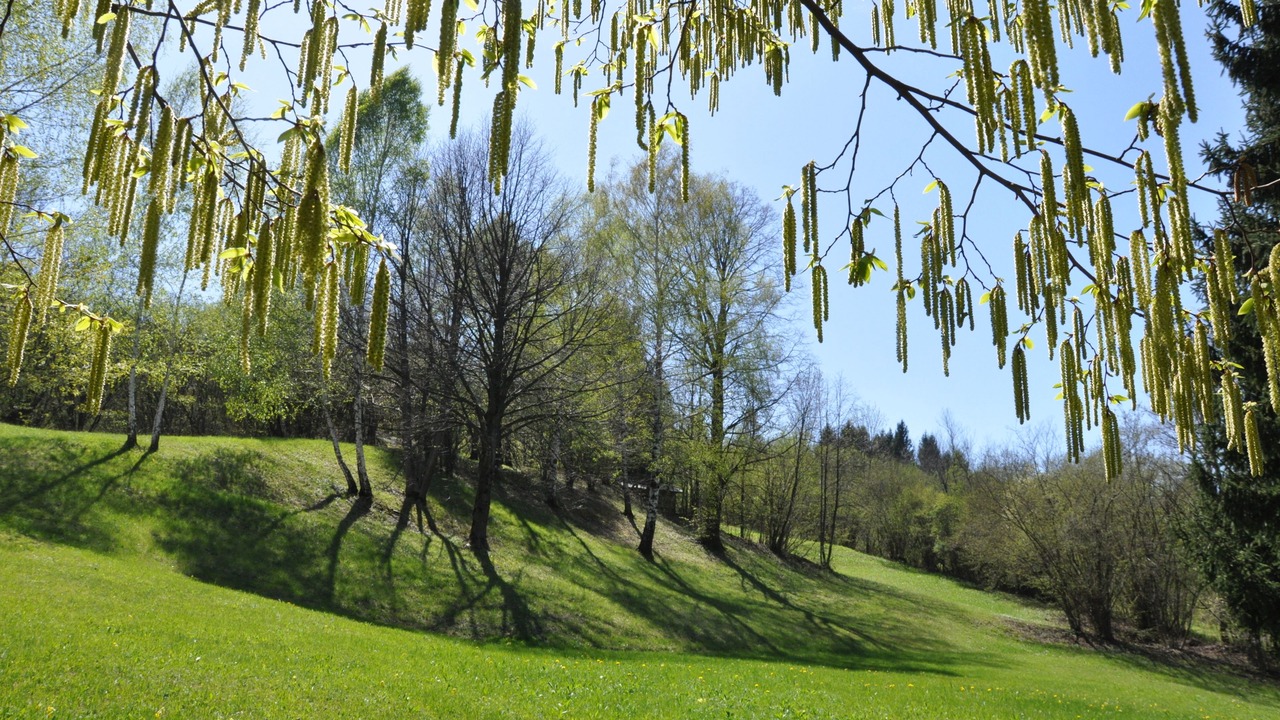 Photo of Outdoor in Ponte nelle Alpi