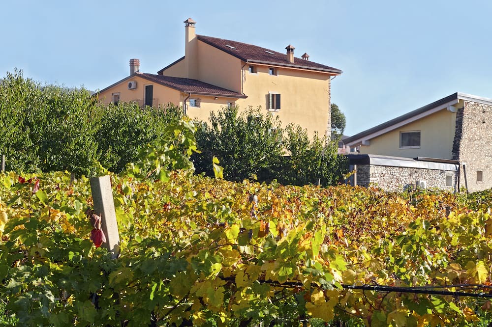 Photo of Outdoor in Negrar