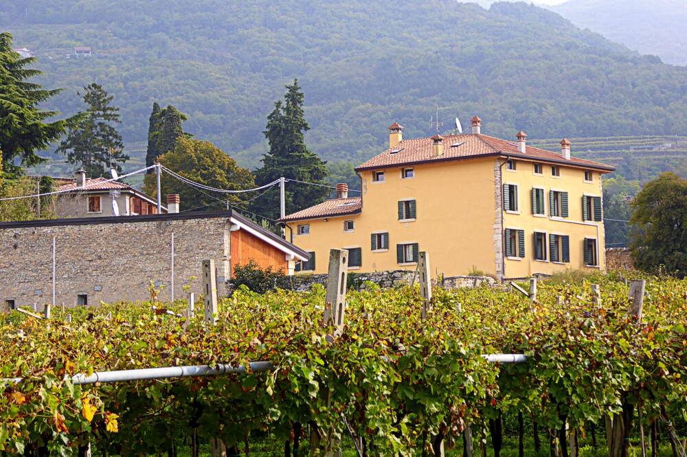 Photo of Outdoor in Negrar