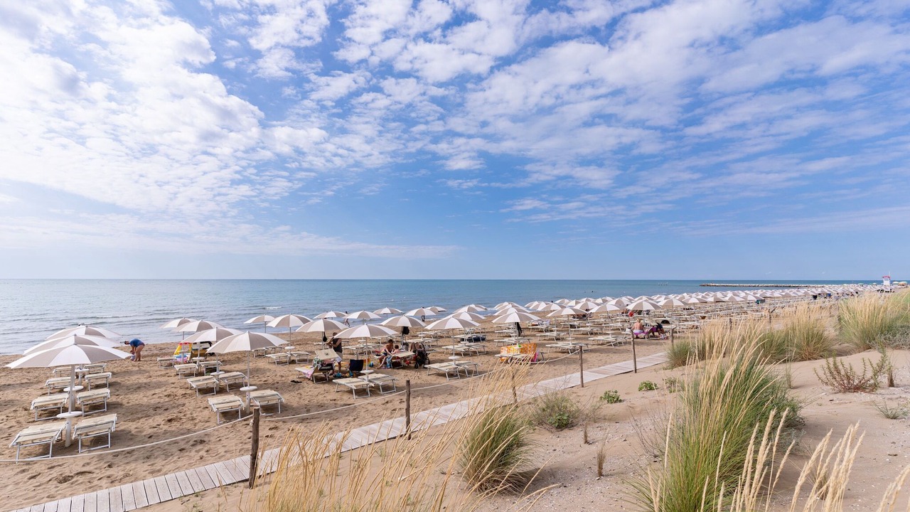 Photo of Others in Jesolo Pineta