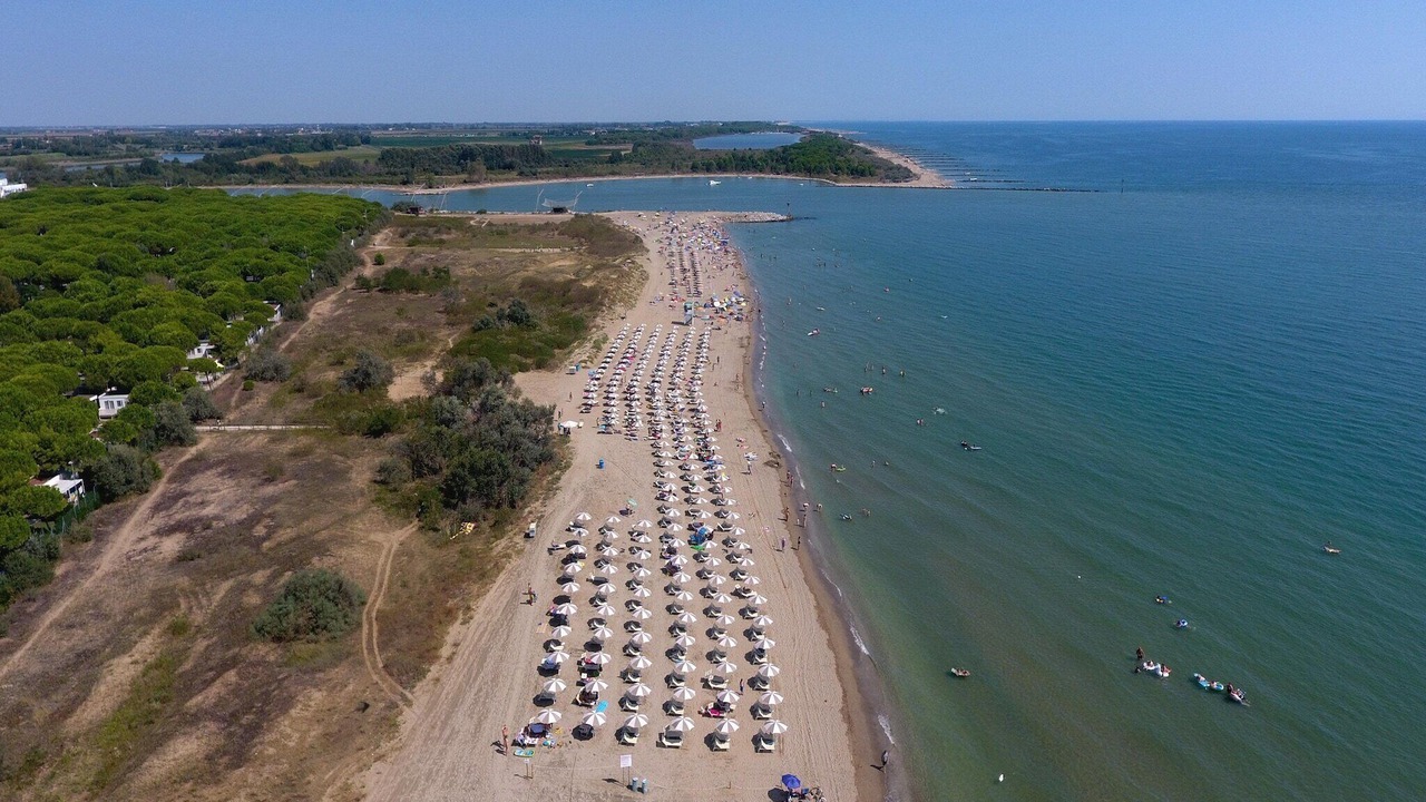 Photo of Others in Jesolo Pineta