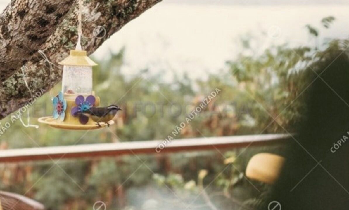 Photo of Outdoor in Ferradurinha