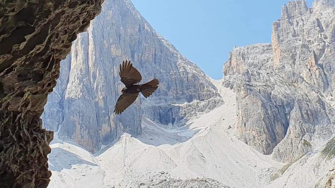 Photo of Outdoor in Padola