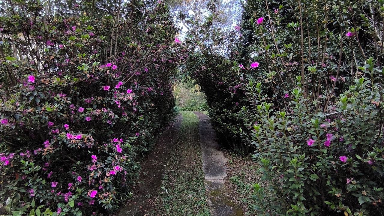 Photo of Outdoor in Vargem Grande