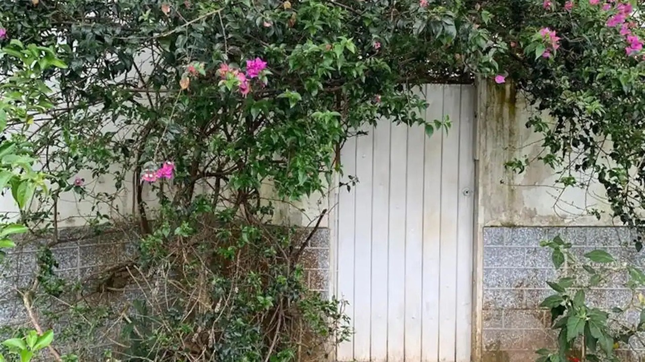 Photo of Outdoor in Cabore