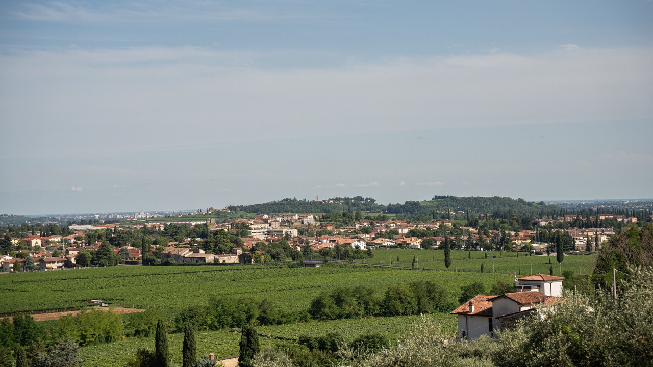 Photo of Others in Gargagnago di Valpolicella