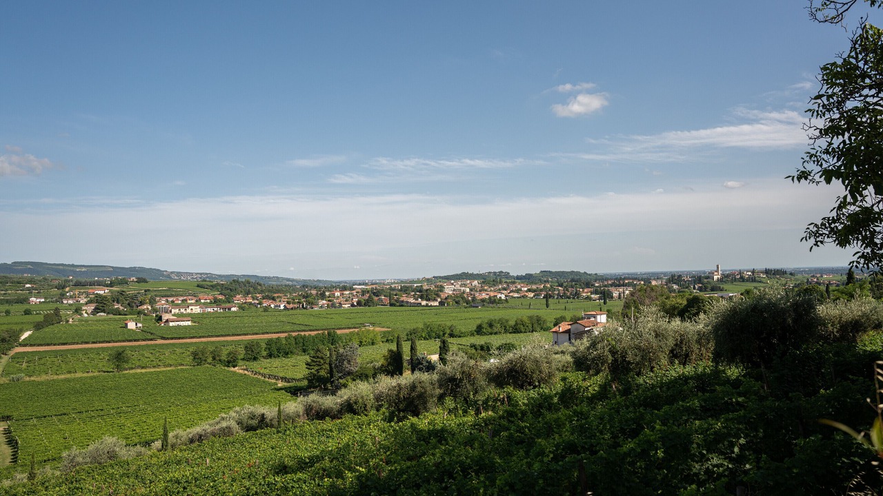 Photo of Others in Gargagnago di Valpolicella