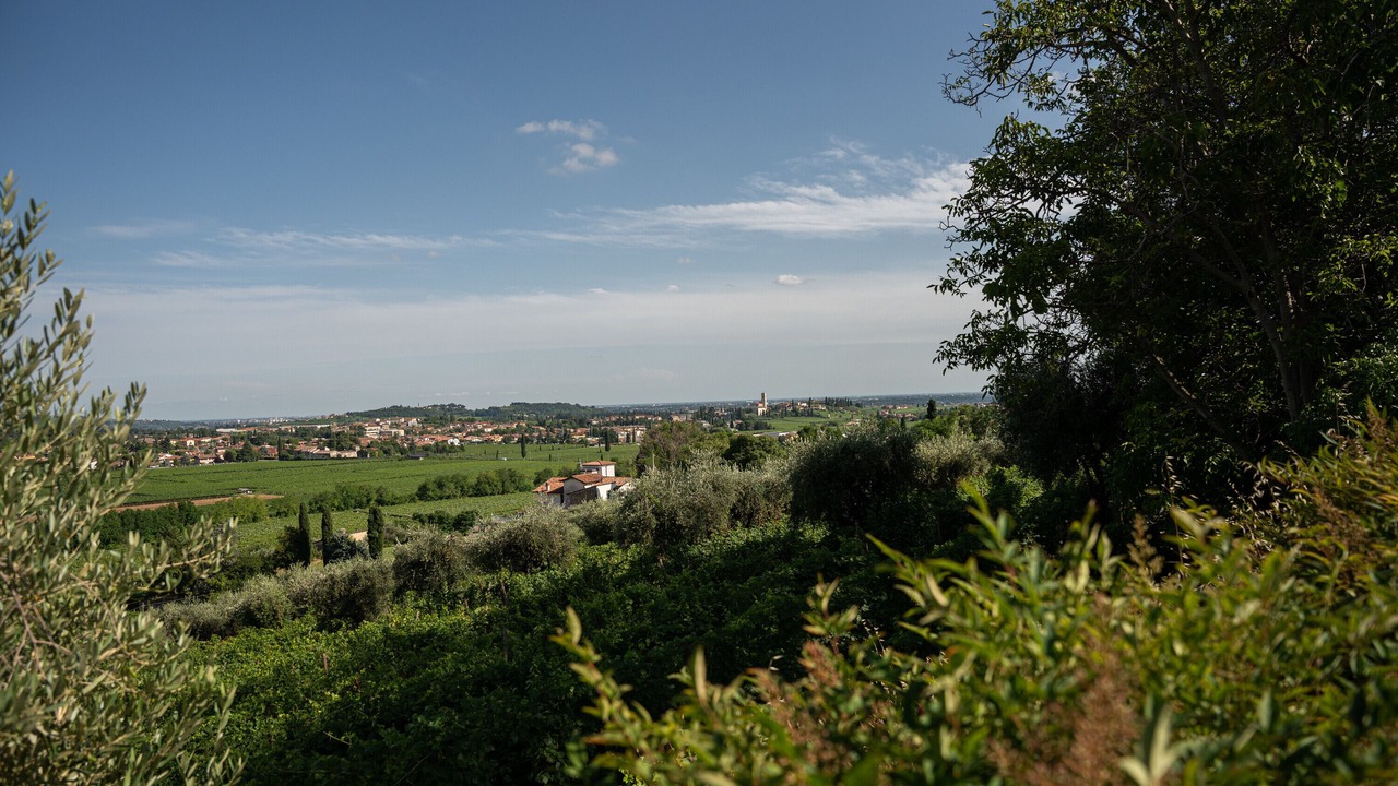 Photo of Others in Gargagnago di Valpolicella