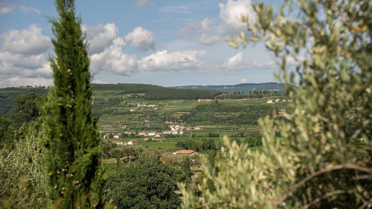 Photo of Others in Gargagnago di Valpolicella