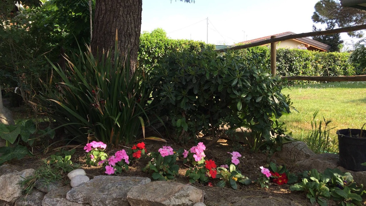Photo of Outdoor in Porto Viro