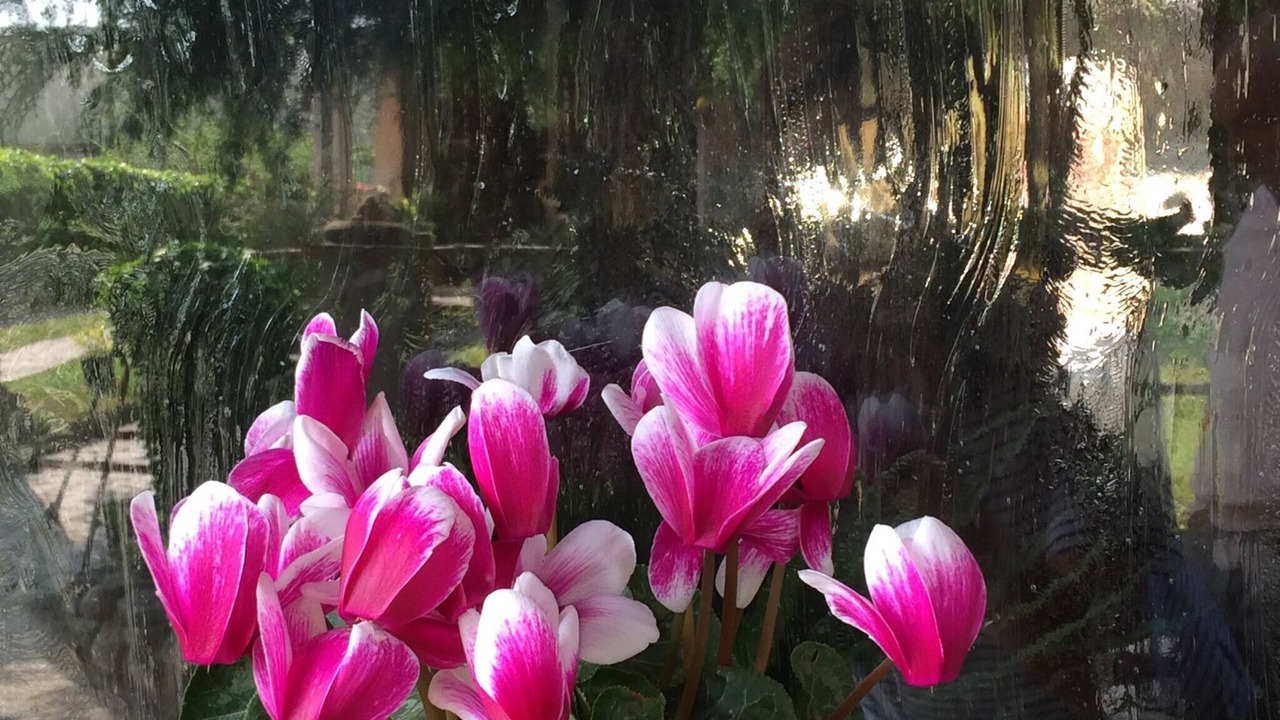 Photo of Outdoor in Porto Viro