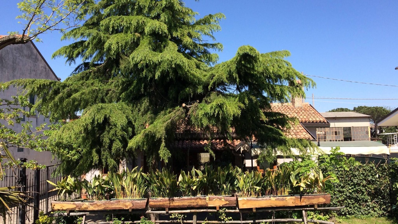 Photo of Outdoor in Porto Viro