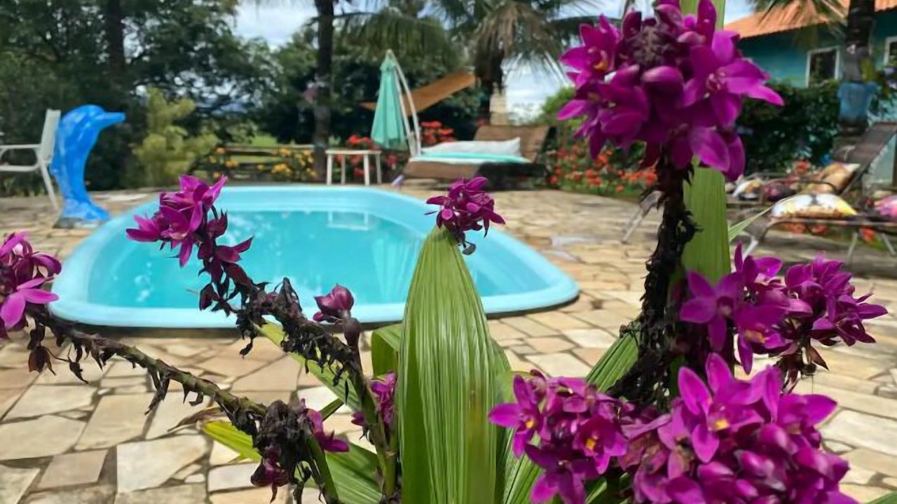 Photo of Outdoor in Quatis