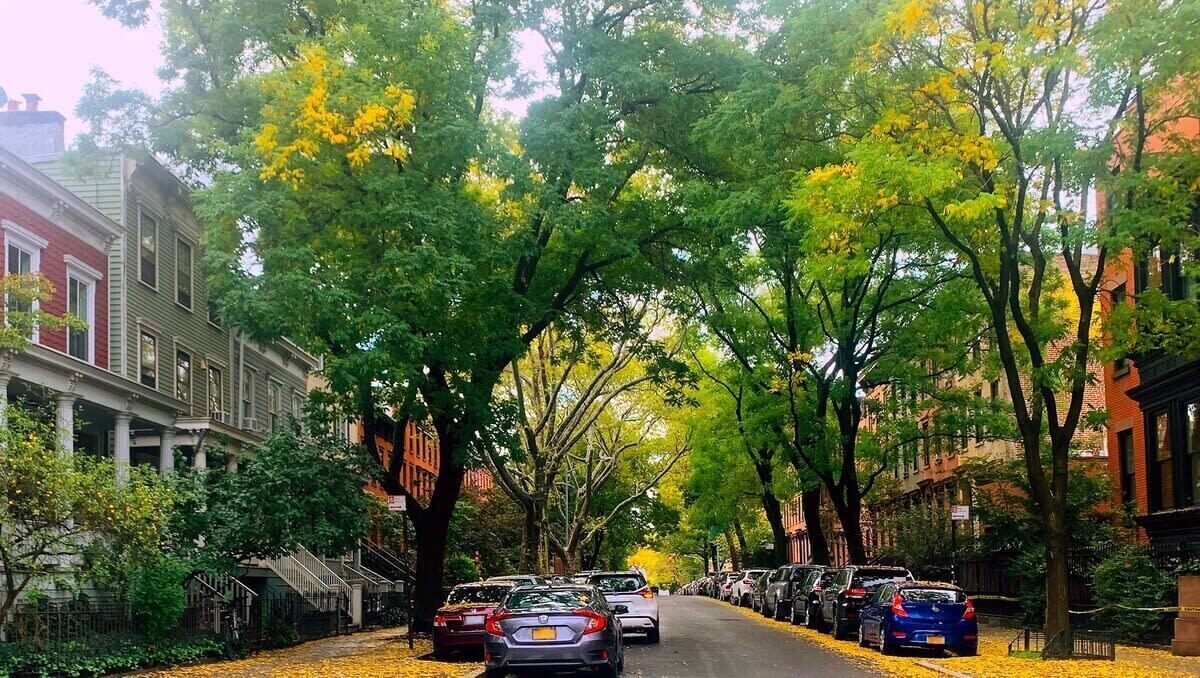 Photo of Outdoor in Clinton Hill