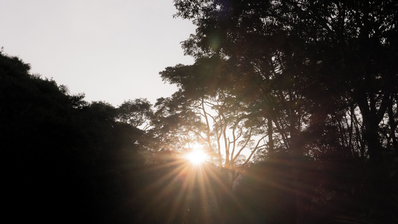 Photo of Outdoor in Vassouras