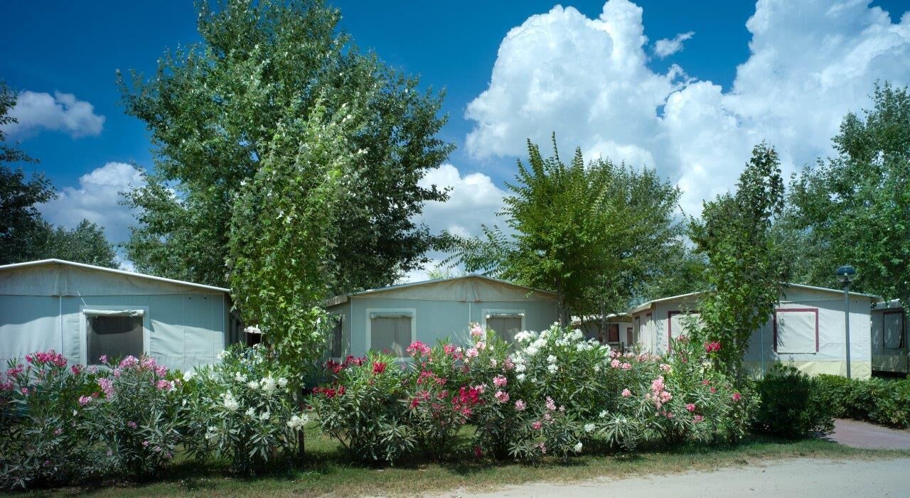 Photo of Outdoor in Scardovari