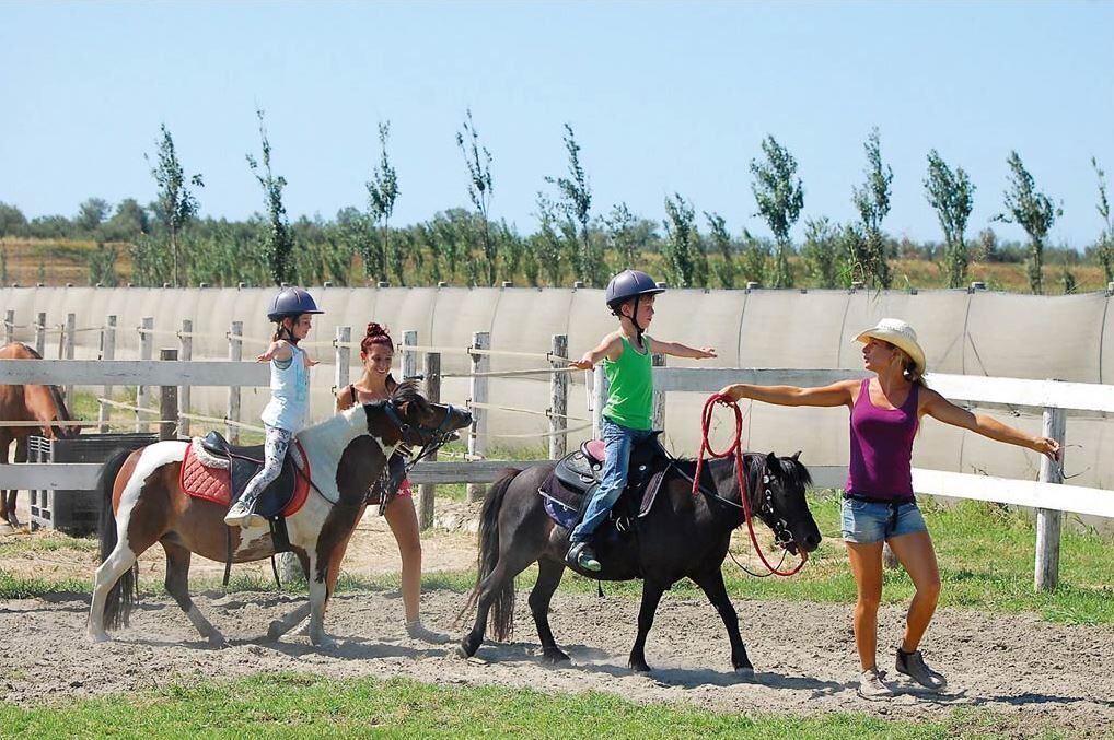 Photo of Others in Scardovari