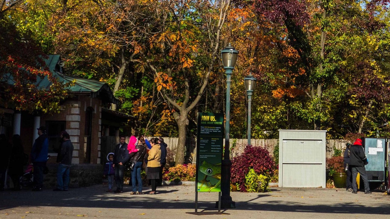 Photo of Others in Port Morris