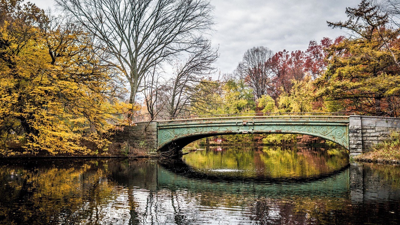 Photo of Outdoor in Prospect Lefferts Gardens