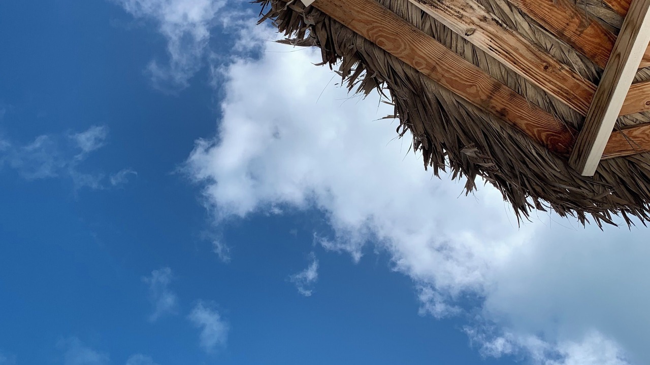 Photo of Others in Palm Cay