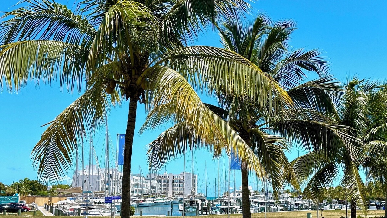 Photo of Outdoor in Palm Cay