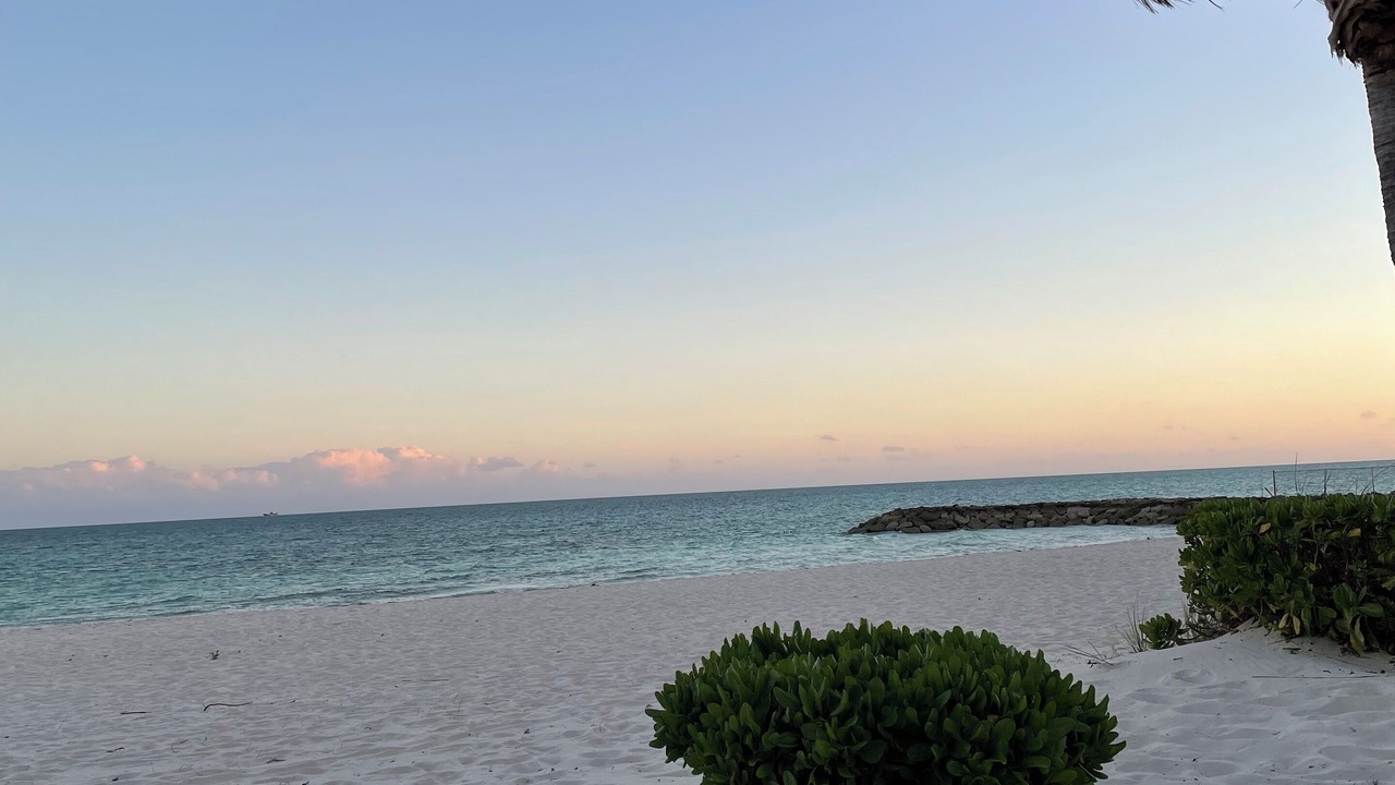 Photo of Others in Palm Cay
