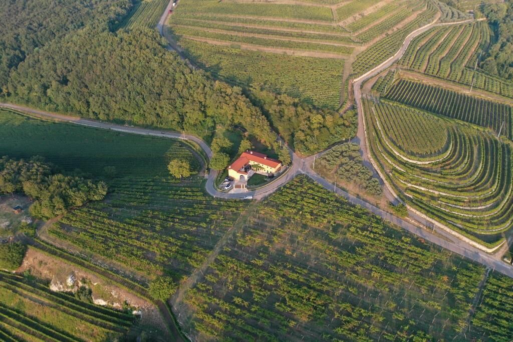 Photo of Outdoor in Negrar