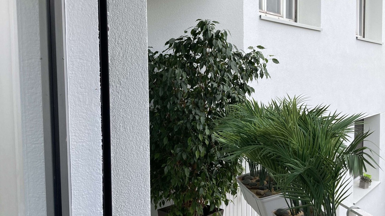 Photo of Outdoor in Antony