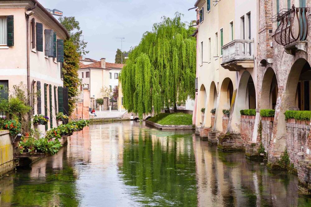 Photo of Others in Treviso